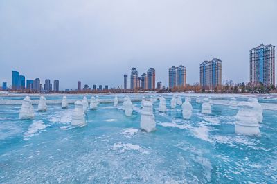 群力外滩湿地残冰