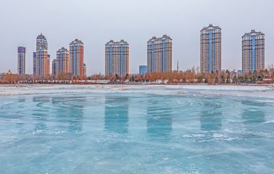 群力外滩湿地残冰