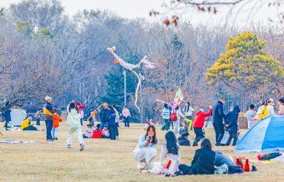 清明节假期太阳岛上游客