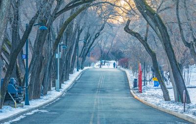 劳动公园路径（2月23日）