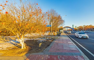 公路大桥两岸风光（2月22日）