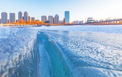 外滩湿地冬季景色（2月21日）