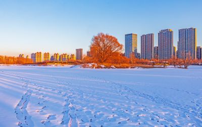 外滩湿地冬季景色（2月21日）