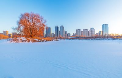 外滩湿地冬季景色（2月21日）