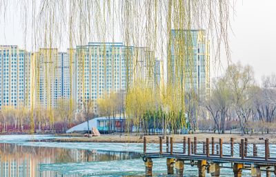 丁香公园春色