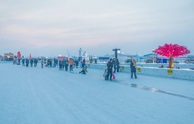 冰雪嘉年华 （2月2日）