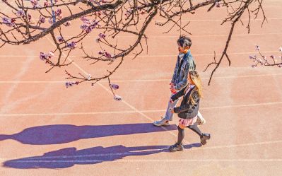 哈工程大学的春天桃花盛开 