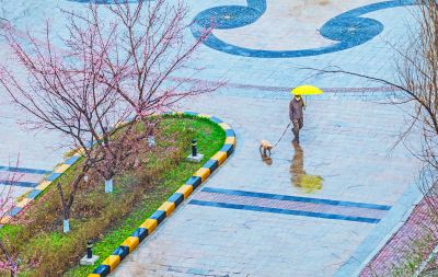 雨中市民打伞 