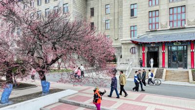 哈尔滨工程大学杏花初绽