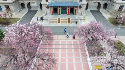 哈尔滨工程大学杏花初绽