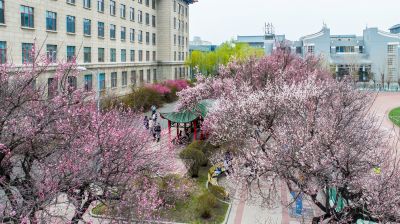 哈尔滨工程大学杏花初绽
