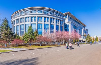 哈尔滨工程大学的春花盛开 