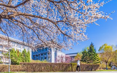 哈尔滨工程大学的春花盛开 