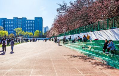 哈尔滨工程大学的春天桃花盛开 