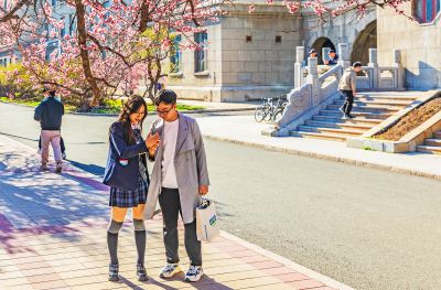 哈工程大学的春天杏花盛开 
