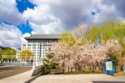 春季哈尔滨工程大学春花盛开