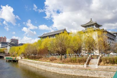 春季哈尔滨工程大学春花盛开