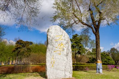 春季哈尔滨工程大学春花盛开