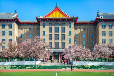 哈尔滨工程大学校园杏花烂漫时游客纷纷打卡拍照