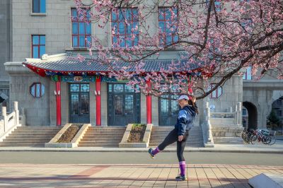 哈尔滨工程大学校园杏花烂漫时游客纷纷打卡拍照