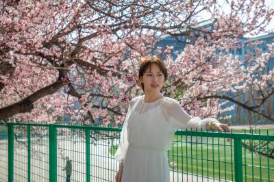 哈尔滨工程大学校园杏花烂漫游客打卡