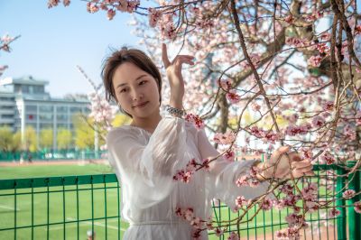 哈尔滨工程大学校园杏花烂漫游客打卡