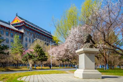 哈尔滨工程大学校园杏花烂漫游客打卡