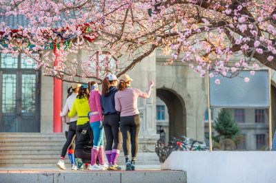 哈尔滨工程大学校园杏花烂漫游客打卡