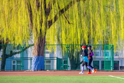 哈尔滨工程大学校园杏花烂漫时游客打卡