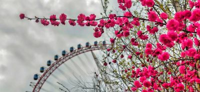 4月哈尔滨