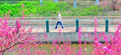 4月哈尔滨
