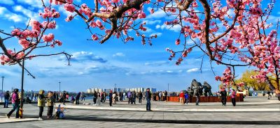 4月哈尔滨花季