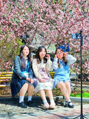 4月哈尔滨花季