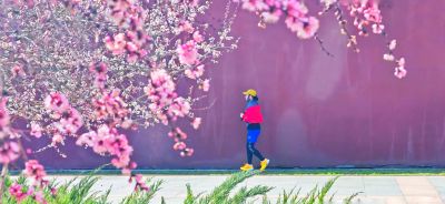 4月哈尔滨花季