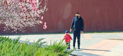 4月哈尔滨花季