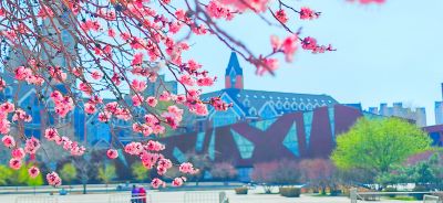 4月哈尔滨花季