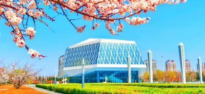 4月哈尔滨花季