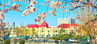 4月哈尔滨花季