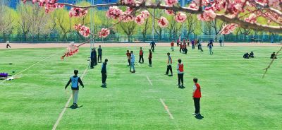 4月哈尔滨花季