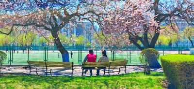 4月哈尔滨花季