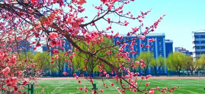 4月哈尔滨花季
