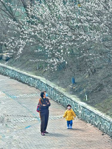 4月春季哈尔滨