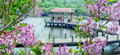4月春花