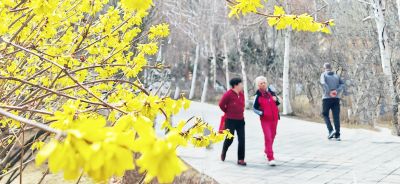 4月春花