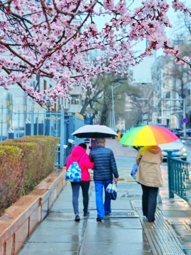 4月春花