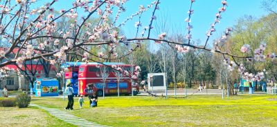 4月春花