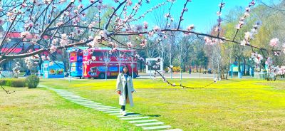 4月春花