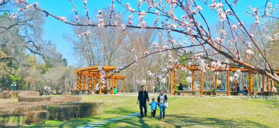 4月春花