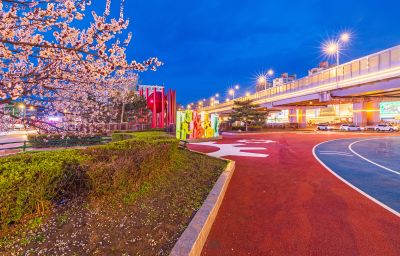乐松广场夜景 杏花 （四月）