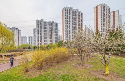 群力健康生态园春色（四月）